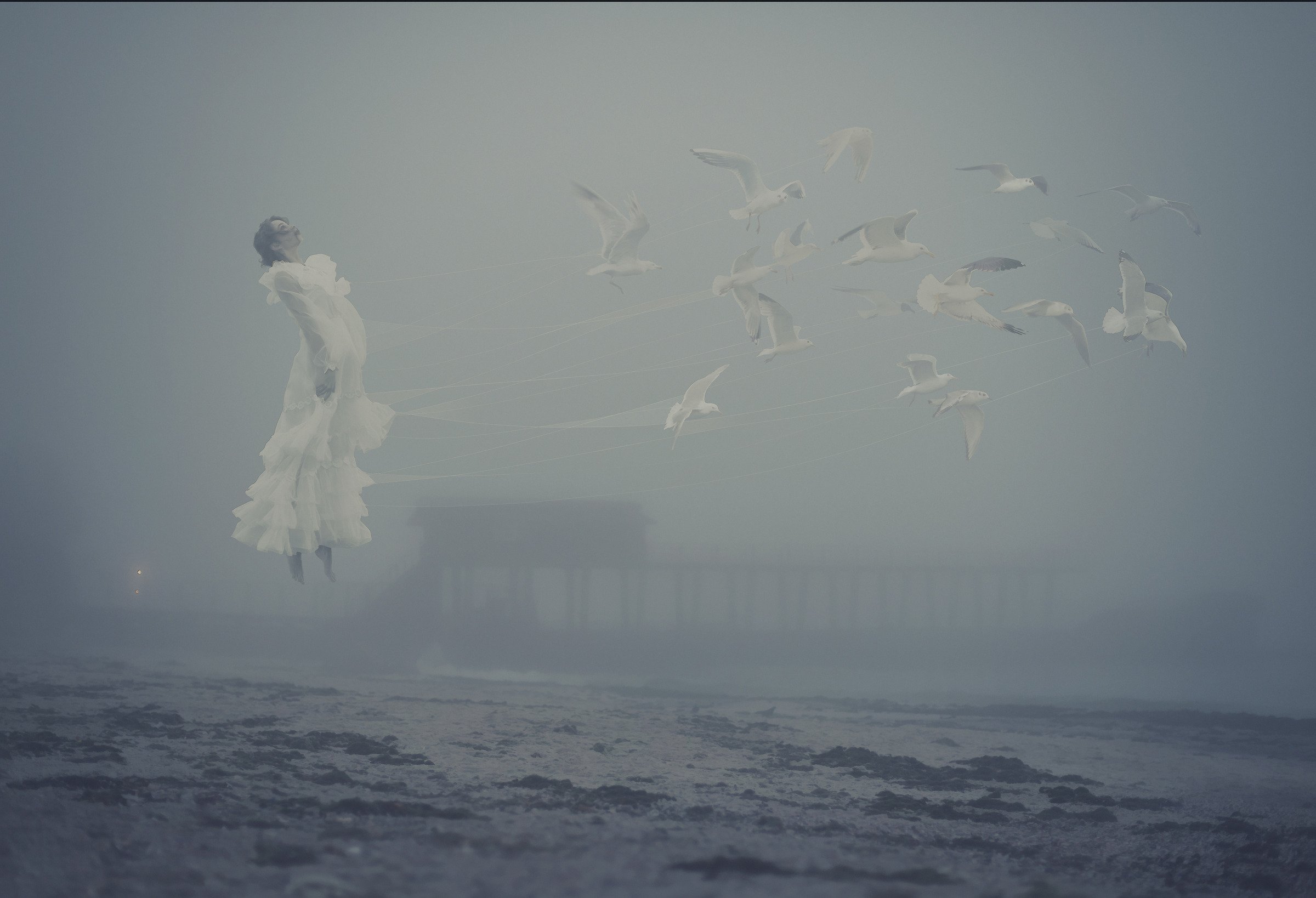 5065007c814231fa0c6a1ccf30955217